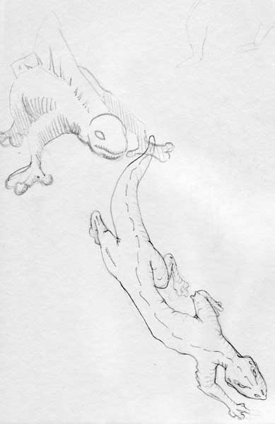 sketch:lizards